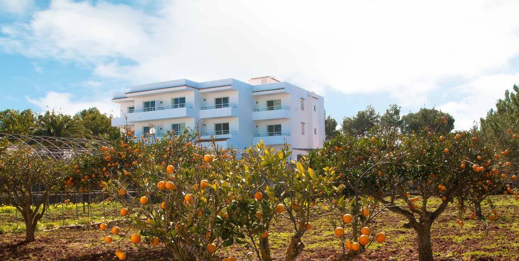 سان أنطونيو Sunset Oasis Ibiza Adults Only - New Rooms 2025 المظهر الخارجي الصورة