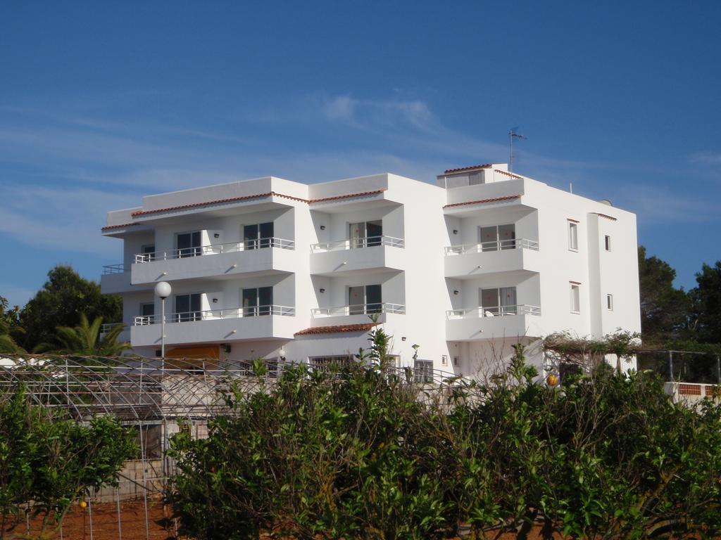 سان أنطونيو Sunset Oasis Ibiza Adults Only - New Rooms 2025 المظهر الخارجي الصورة